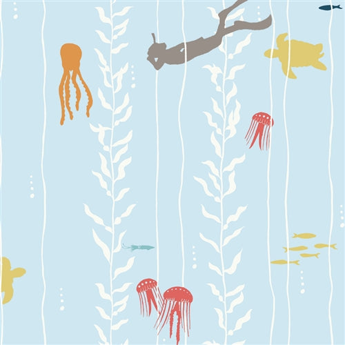 Kelp Dive