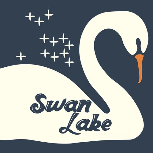 SWAN LAKE POPLIN | CASE PACK | 5 SKUS