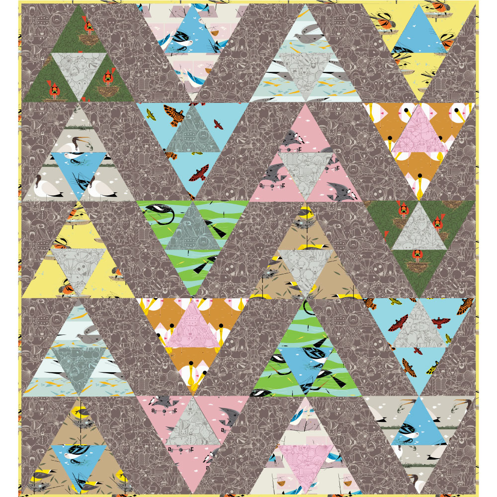Bird-Watching-Quilt-by-Suzy-Quilts-Ford-Times-Birds-Vol.-1